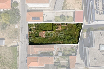 Terreno para Venda em Madalena