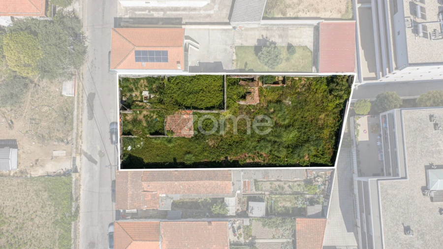 Terreno para Venda em Madalena
