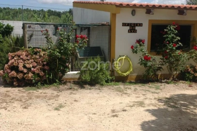 Quinta T4 para Venda em Gafanha da Nazaré