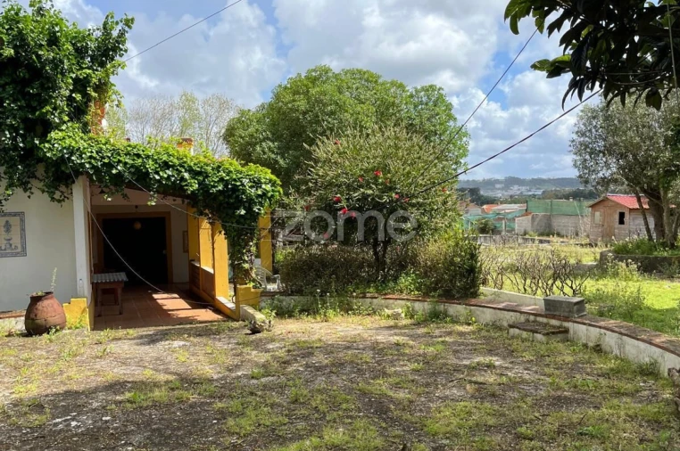 Quinta T4 para Venda em Gafanha da Nazaré Foto 11