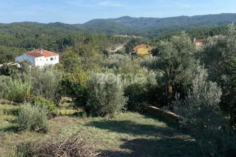 Terreno para Venda em Fundada Foto 10