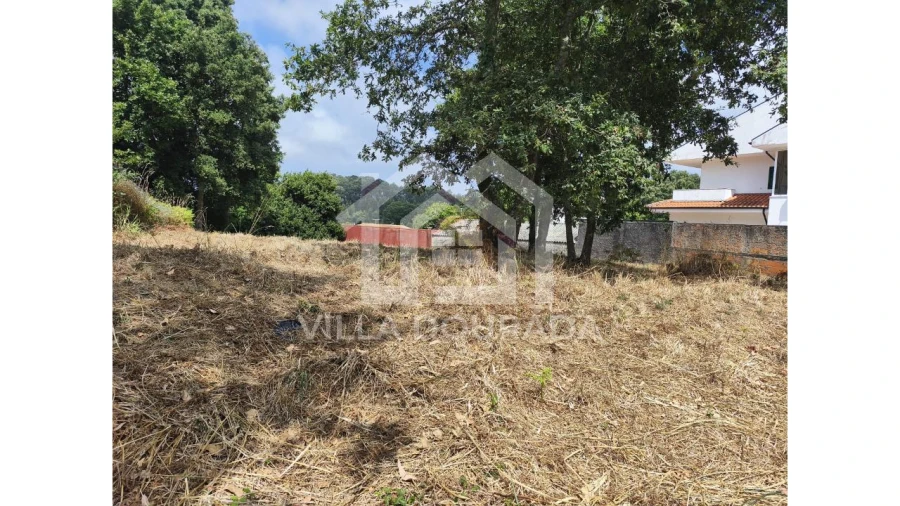 Terreno para Venda em Gulpilhares e Valadares Foto 5