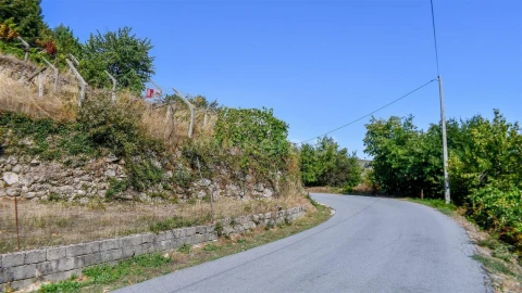 Terreno para Venda em Valadares