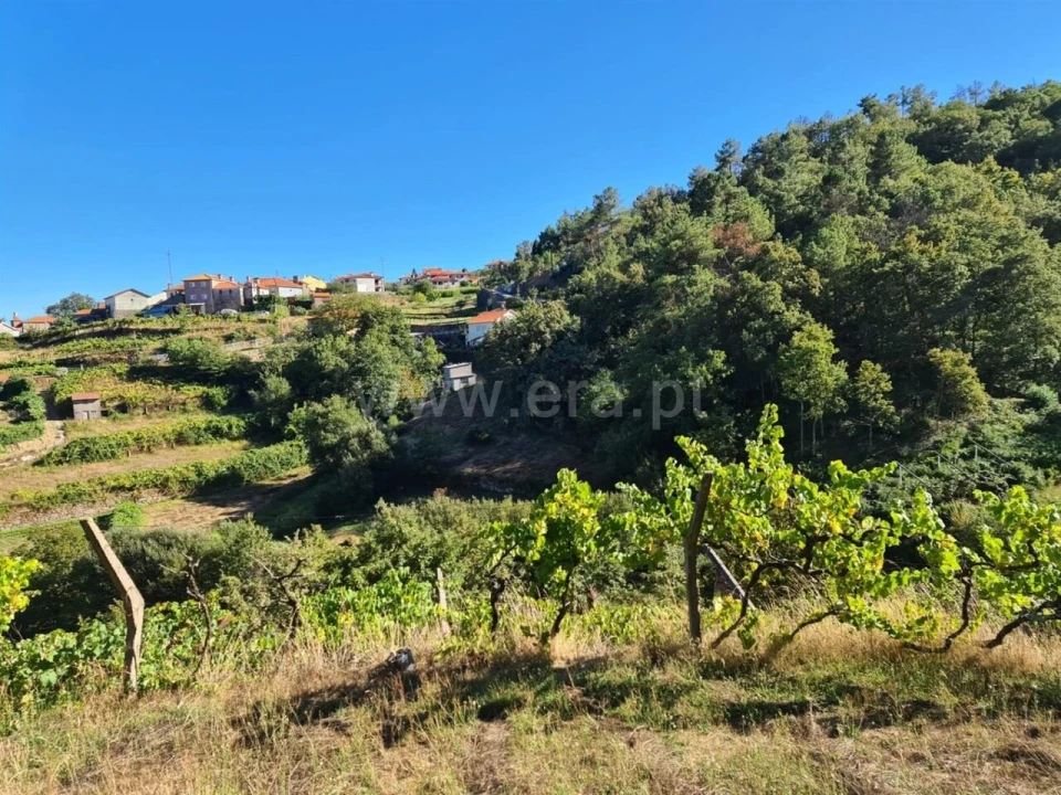 Terreno para Venda em Valadares Foto 3
