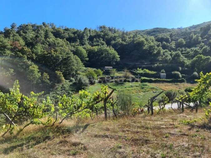 Terreno para Venda em Valadares Foto 5