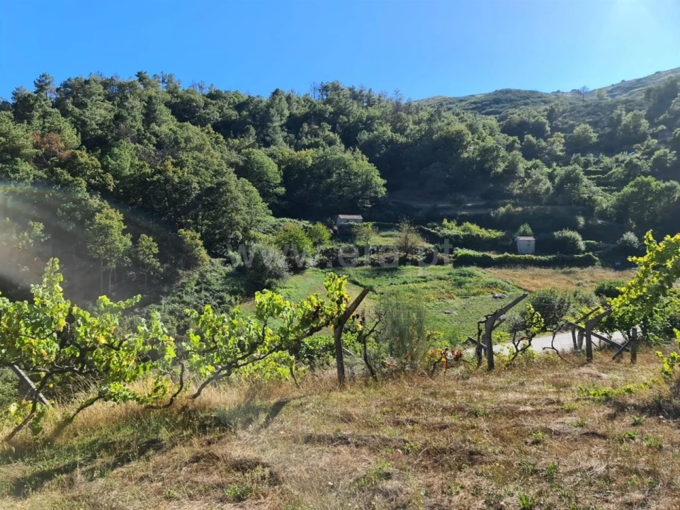 Terreno para Venda em Valadares Foto 5
