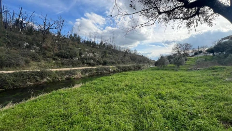 Moradia T3 para Venda em Santiago da Guarda