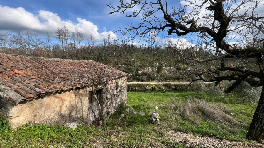 Moradia T3 para Venda em Santiago da Guarda