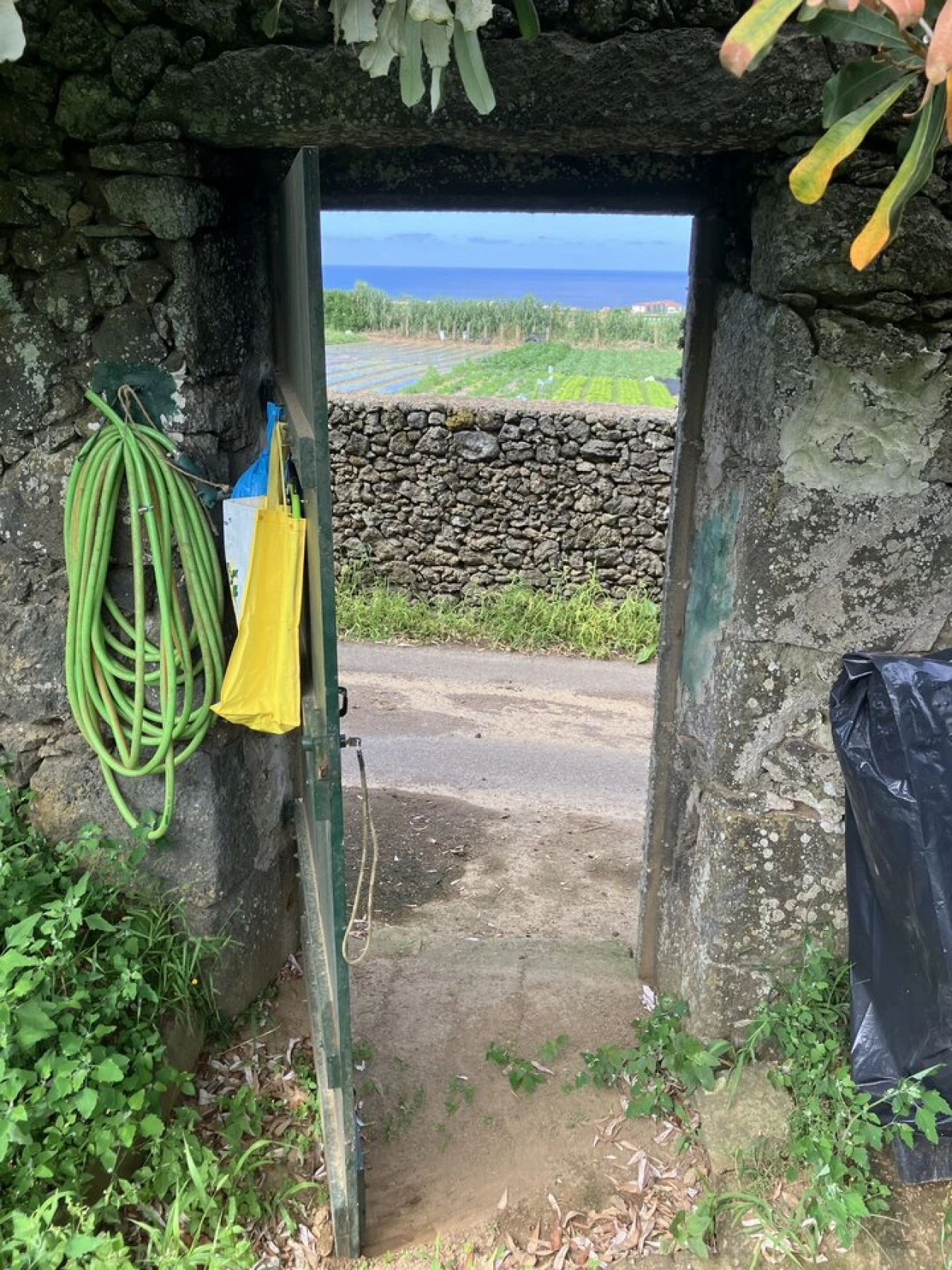 Terreno para Venda em Rabo de Peixe Foto 4