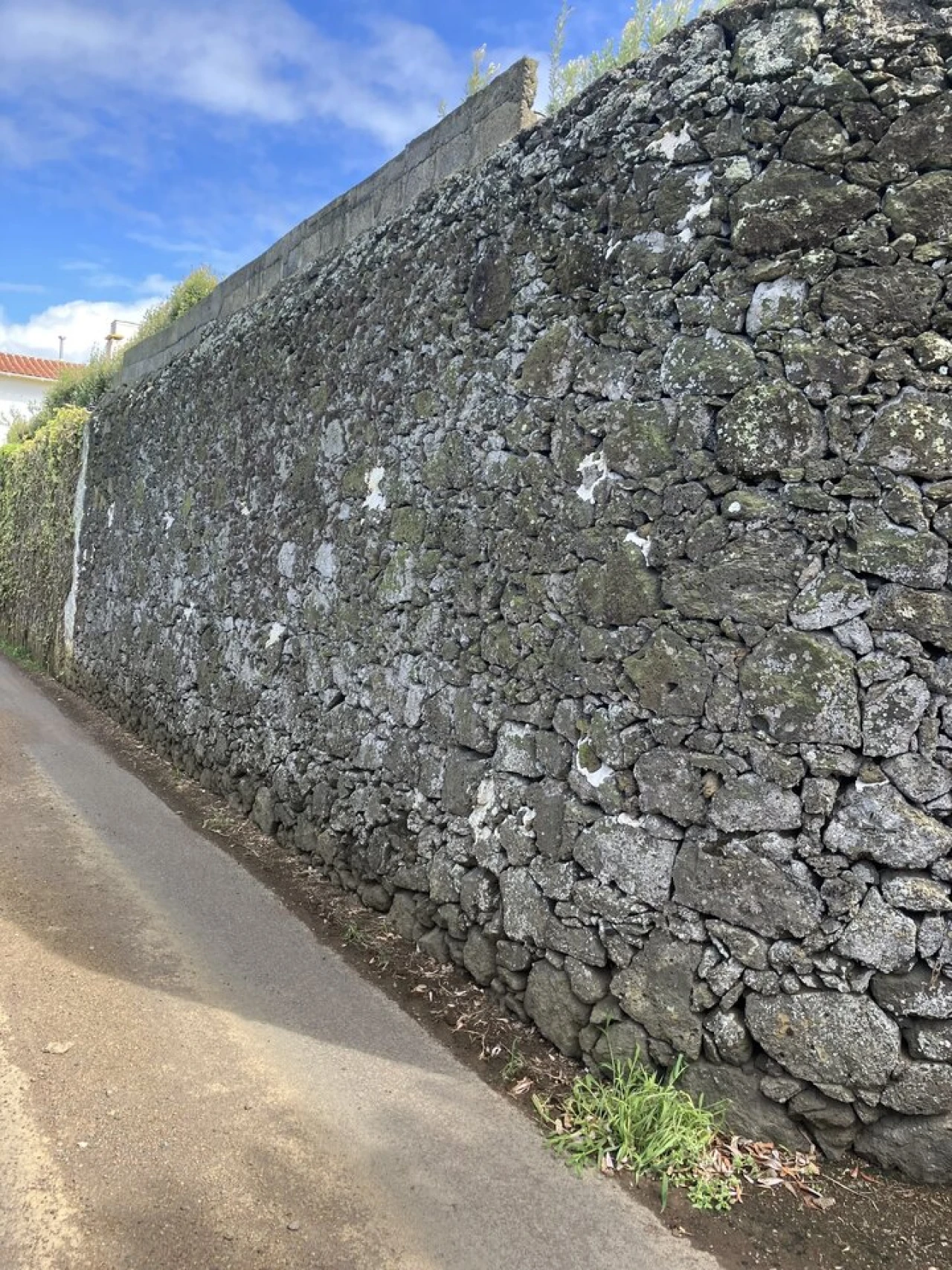 Terreno para Venda em Rabo de Peixe Foto 6