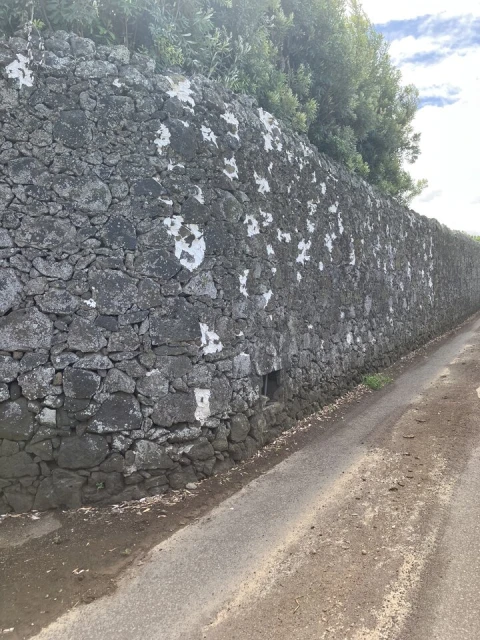 Terreno para Venda em Rabo de Peixe