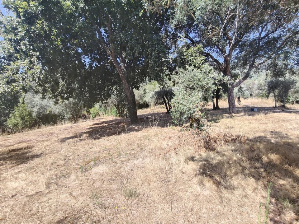 Moradia T3 para Venda em Maçãs de D. Maria Foto 28