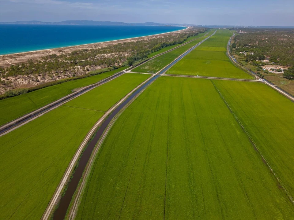 Terreno para Venda em Comporta Foto 10