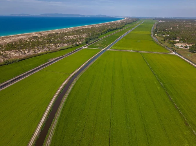 Terreno para Venda em Comporta Foto 10