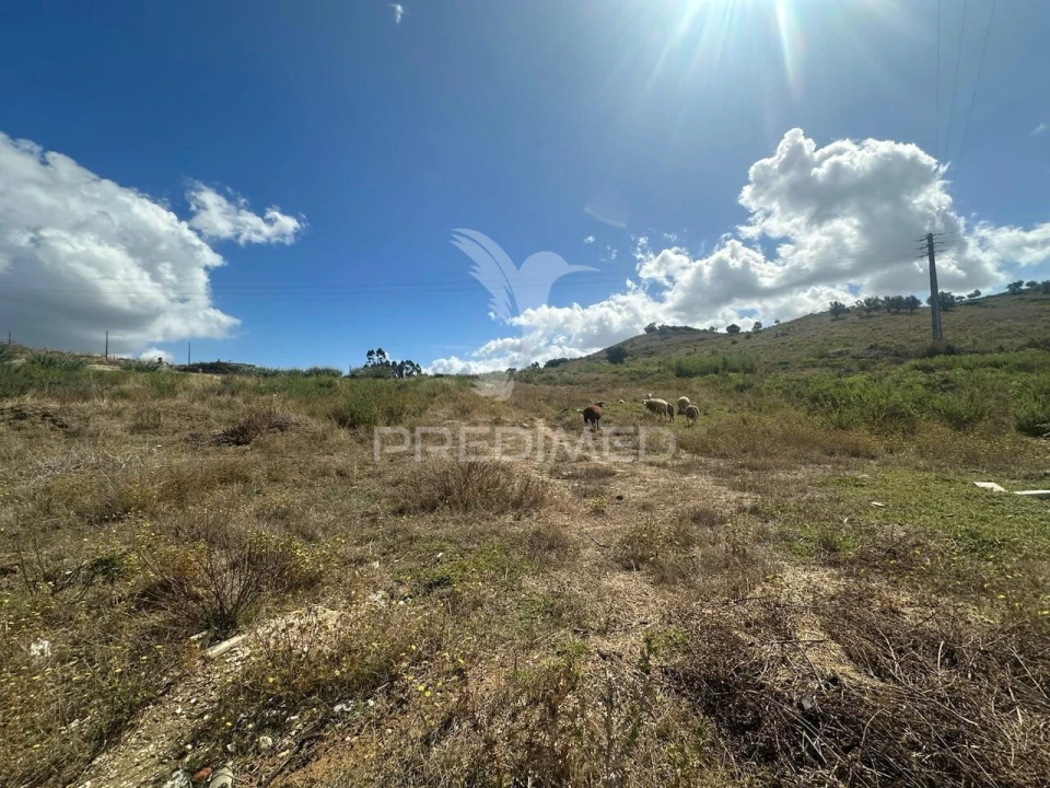 Terreno para Venda em Marvila, Ribeira Santarém, São Salvador, São Nicolau Foto 13