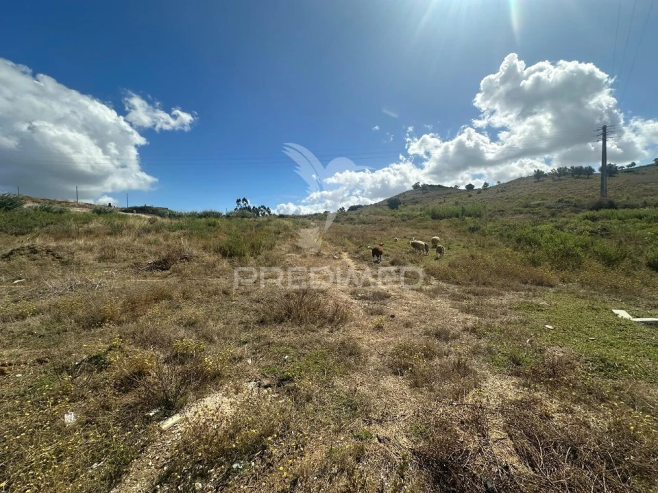 Terreno para Venda em Marvila, Ribeira Santarém, São Salvador, São Nicolau Foto 4