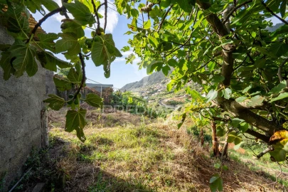 Moradia T3 para Venda em Machico