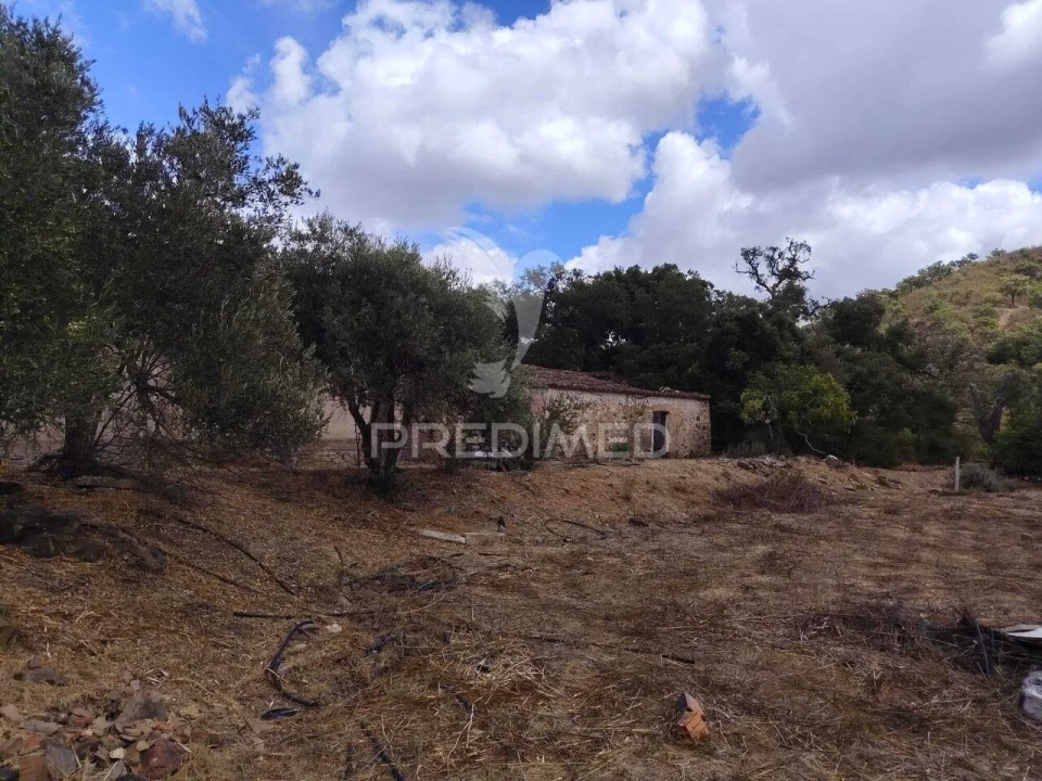 Terreno para Venda em Alte Foto 5
