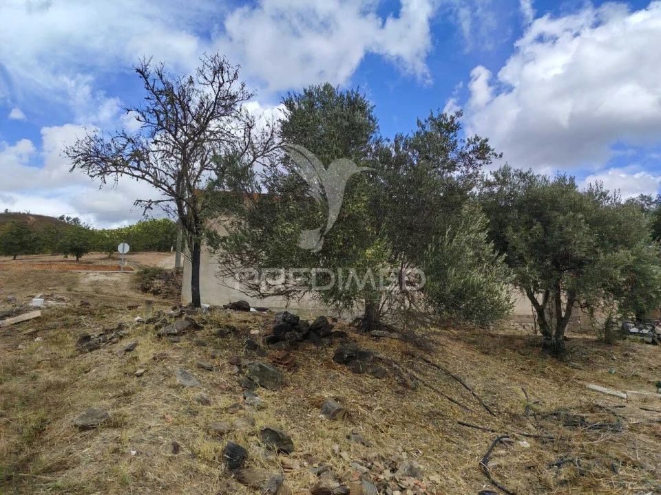 Terreno para Venda em Alte Foto 4
