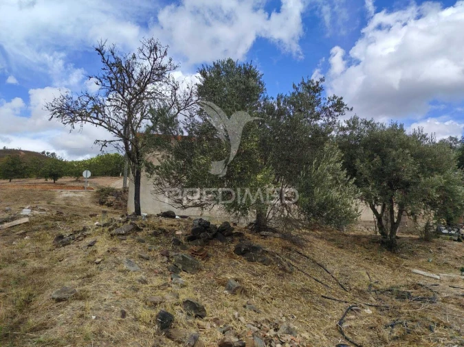 Terreno para Venda em Alte Foto 4