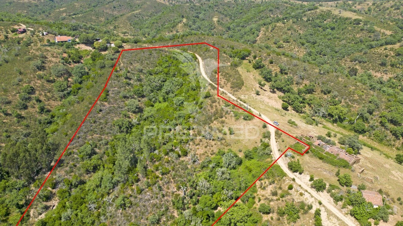 Quinta T3 para Venda em São Salvador e Santa Maria Foto 21