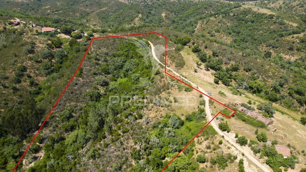 Quinta T3 para Venda em São Salvador e Santa Maria Foto 16