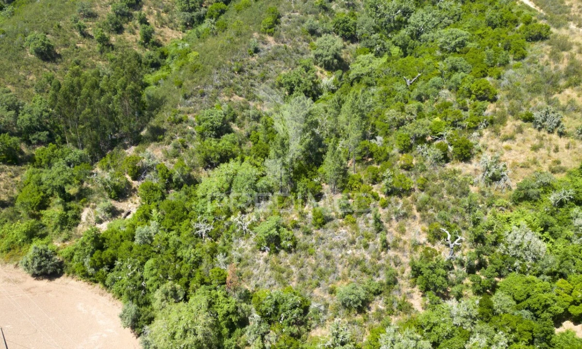Quinta T3 para Venda em São Salvador e Santa Maria Foto 18