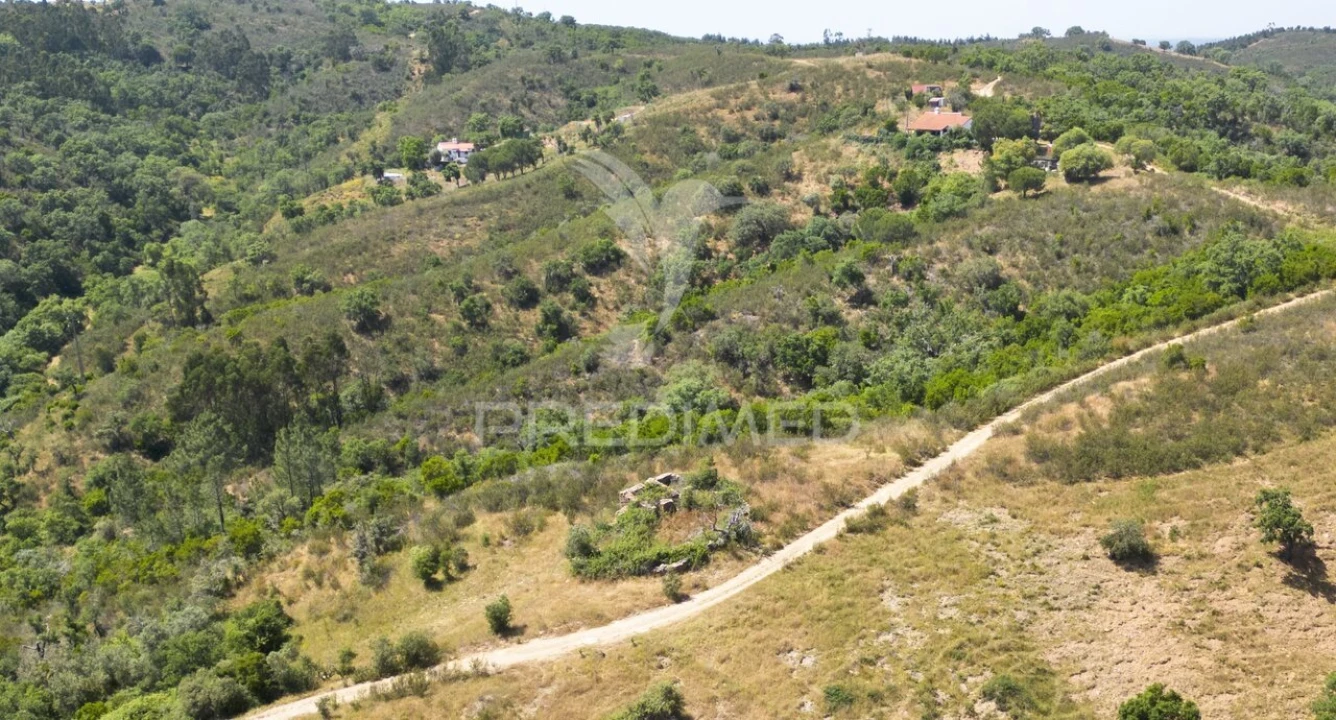 Quinta T3 para Venda em São Salvador e Santa Maria Foto 12