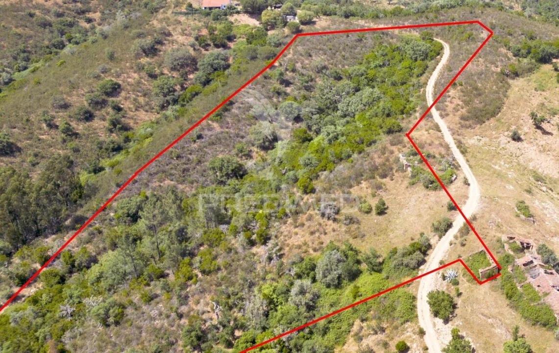 Quinta T3 para Venda em São Salvador e Santa Maria Foto 15