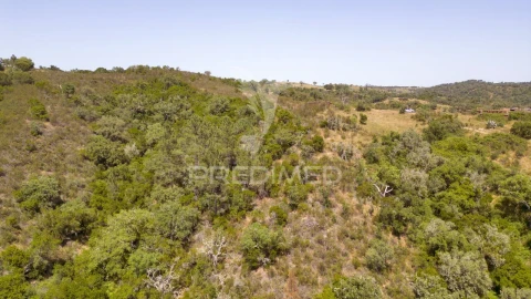 Quinta T3 para Venda em São Salvador e Santa Maria