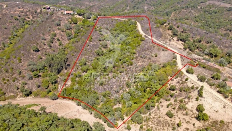 Quinta T3 para Venda em São Salvador e Santa Maria