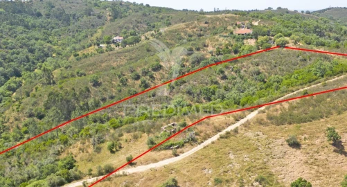 Quinta T3 para Venda em São Salvador e Santa Maria