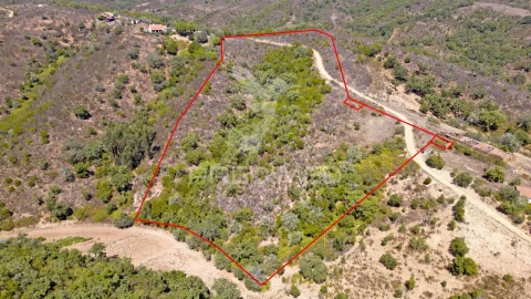Quinta T3 para Venda em São Salvador e Santa Maria