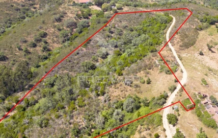 Quinta T3 para Venda em São Salvador e Santa Maria