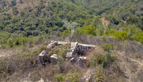 Quinta T3 para Venda em São Salvador e Santa Maria