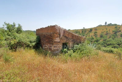 Quinta T3 para Venda em São Salvador e Santa Maria