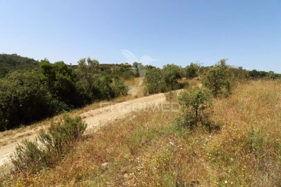 Quinta T3 para Venda em São Salvador e Santa Maria