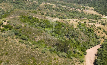 Quinta T3 para Venda em São Salvador e Santa Maria