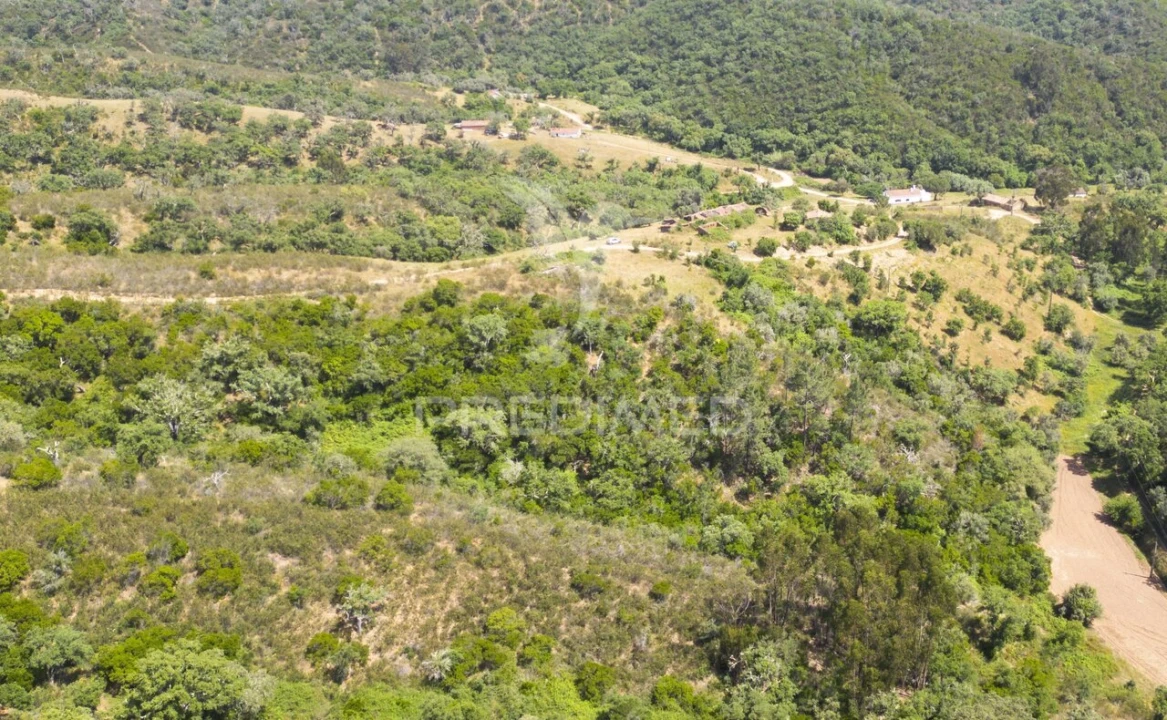 Quinta T3 para Venda em São Salvador e Santa Maria Foto 21
