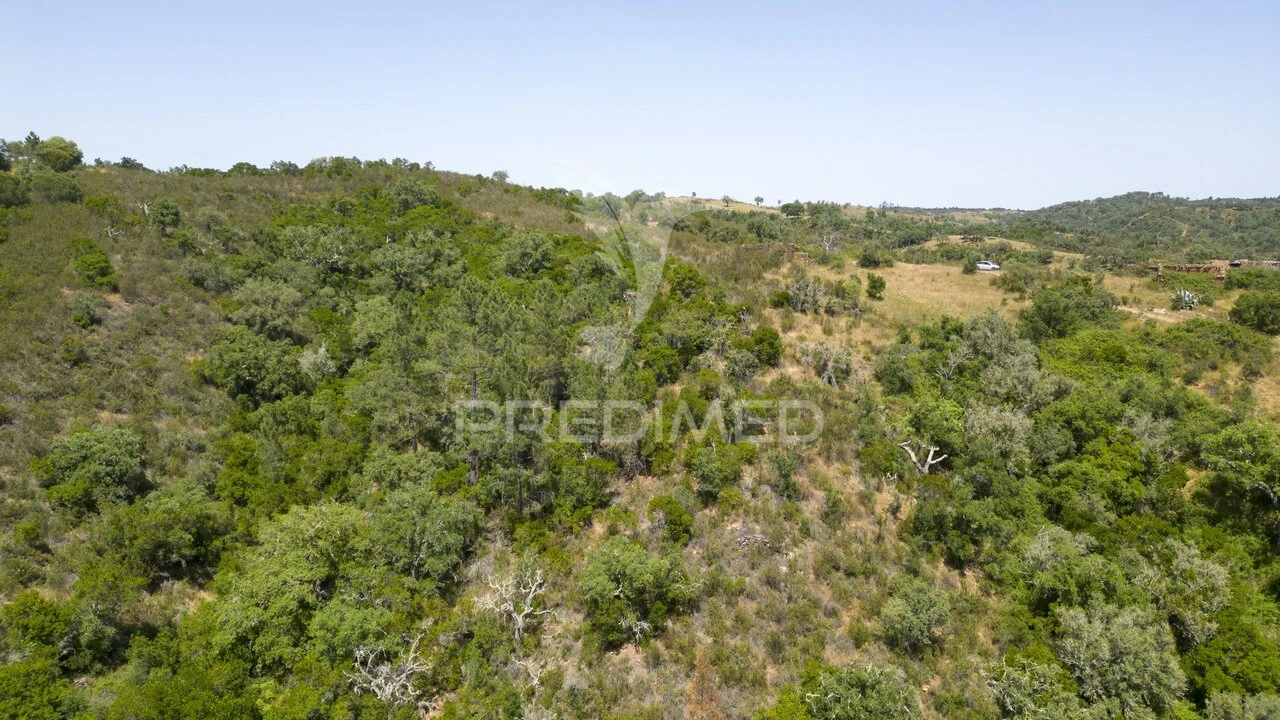 Quinta T3 para Venda em São Salvador e Santa Maria Foto 19