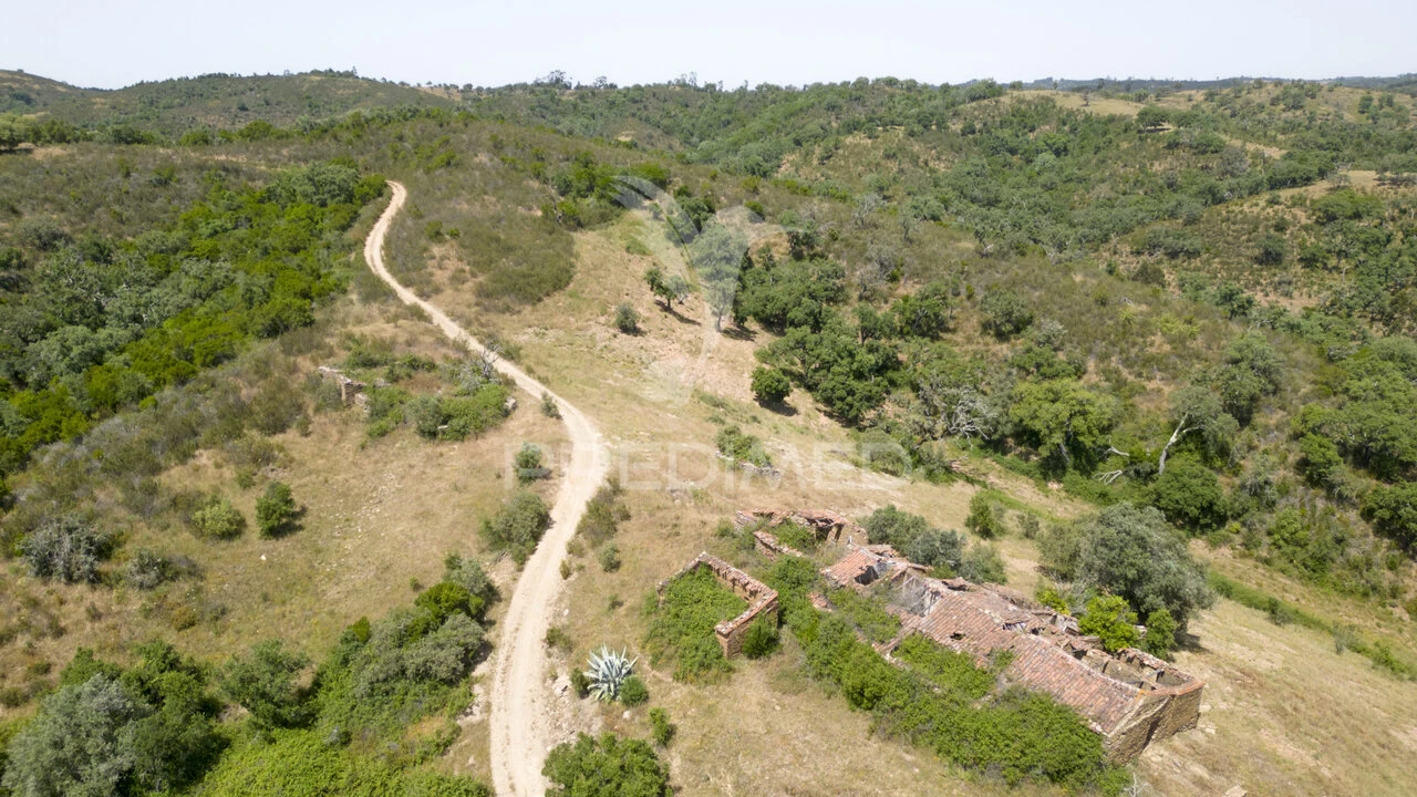 Quinta T3 para Venda em São Salvador e Santa Maria Foto 9