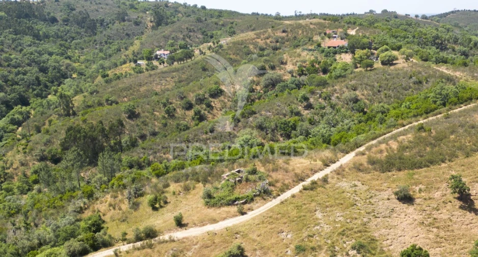 Quinta T3 para Venda em São Salvador e Santa Maria Foto 12