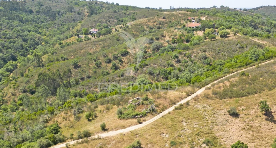 Quinta T3 para Venda em São Salvador e Santa Maria Foto 23