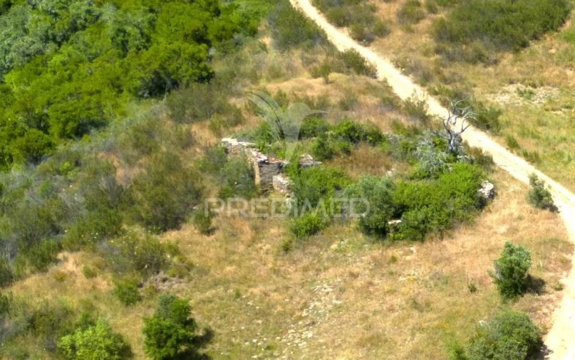 Quinta T3 para Venda em São Salvador e Santa Maria Foto 4