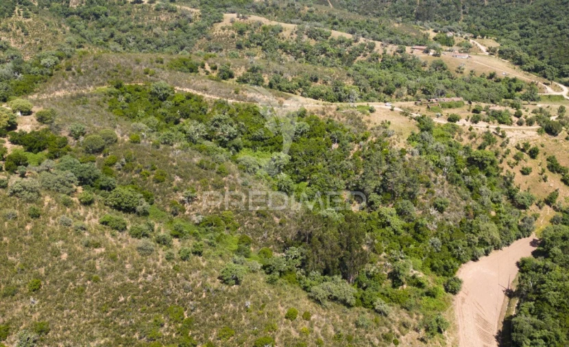 Quinta T3 para Venda em São Salvador e Santa Maria Foto 22
