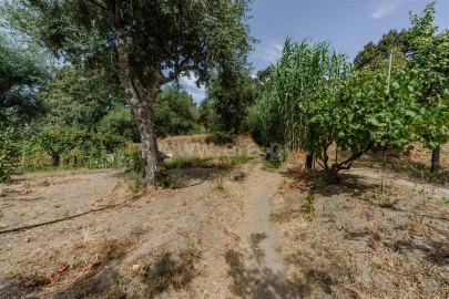 Terreno para Venda em Tortosendo