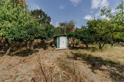 Terreno para Venda em Tortosendo