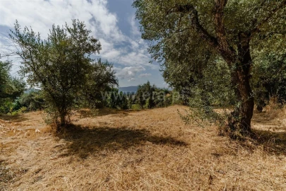 Terreno para Venda em Tortosendo