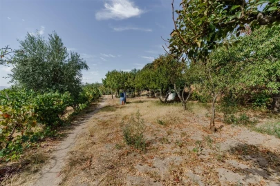 Terreno para Venda em Tortosendo