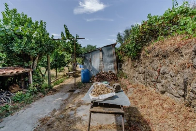 Terreno para Venda em Tortosendo